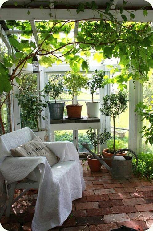 Turn Your Sunroom into a Home Garden Wonderland